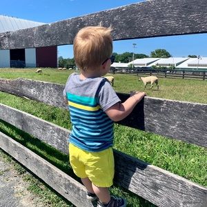 Meet your Posher, Nicole